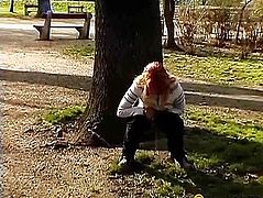Woman writing in a tree in the park