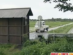 Public Sex Japan brings you a hell of a free porn video where you can see how this hairy Japanese brunette gets fucked on a truck while assuming very hot poses.