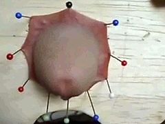 cbt