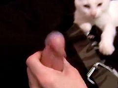 Cute guy plays with his kitten and jerks off