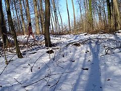 Nackt im Winterwald Naked in Winterforest