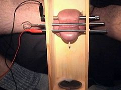 Cock in a box, electro-stim, orgasm