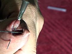 Needle my Penis and cum super zoom HD - PLEASE COMMENT!