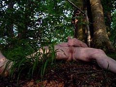 Cuin the wood