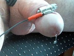 nice estim