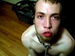 THE HUMAN doggy