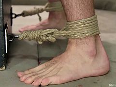 This cruel mistress lifts up her slave way above her head. As she balances him on her shoulders, the other mistress shoves the sex toy up the slave's ass. They tie him to the chest with rope and he gets assfucked.