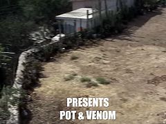 Pot and Venom are two bisexual Latinos who go for sucking cock, stroking cock and finally for pleasuring cock by fucking ass. They both cum and are sweaty.
