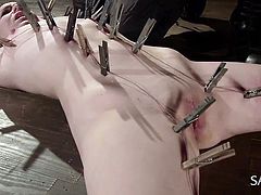 Juliette March did not know when she was taken away to a dungeon. She was in a stupor and when she woke up, she found clamps all over herself. It's true she was in pain, but she loves pain that gives her pleasure. She was excited about the hard and painful sex, she was going to have a little later.