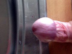 Spermabecken
