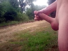 train flash 6