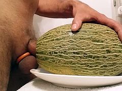 melon1