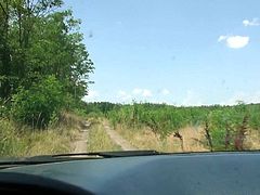 When this couple got picked up on the road, they wanted to show gratitude to the driver. So they put on a little show for him. They are a cute couple. small tits