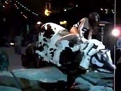 chick flashes her ass on a bull (no panties)