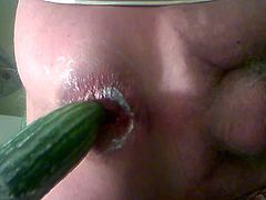 cucumber fun again