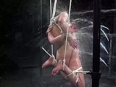 This hot naked brunette bitch has been awfully tied up with strong ropes by a merciless dominant executor. Now the helpless lady with small lovely tits is kept prisoner in the dark basement. She experiences a mixture of pain and pleasure, as a lot of clothespins have been attached all over her body... See!