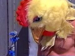 Chicken suit sex