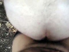 Bears in the woods Part 2