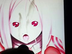 Shiro SOP