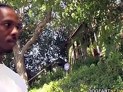 Chanell's jaw gets no rest even as her pussy is fucked from behind. Much like a train to a Phish concert, each white boy lines up to pound that black snatch until she begs for a thunderstorm of cracker cream.