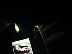 Tribute 4