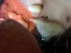 cumtribute 33