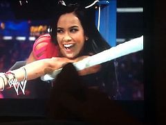 WWE Diva AJ Lee Tribute 01