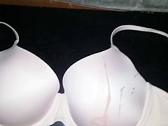 Allison's 34 D Nude Victoria's Secret Bra Cummed