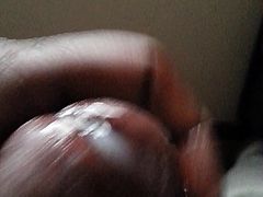 Bistin a Nutt