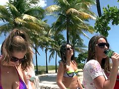 Which one of these sluts will be crowned the wet shirt champion? The naughty babes head down to the beach, after securing their cash. Buckets of water and the hose soak these cuties. Soon the babes are frolicking topless.