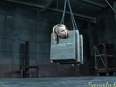 There is nothing more humiliating than being in a dungeon - except being in a dungeon and being put in a tiny box. Her ass his hanging out, so the master can have his way with her. He sprays her down and emasculates her.