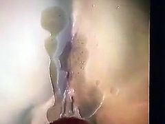 TRIBUTE 19