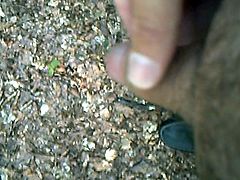Wichsen im Wald