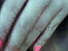 Lewd Angel Masturbates In Front Of A Livecam