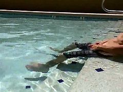 Horny couple having oral sex in the pool