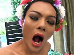 Ladyboy Cindy dressed in a Hawaiian grass skirt and lacy green pantyhose. She does a little dance swaying her hips then strokes her big dick. Cindy impales herself fully on a large realistic dildo and sucking cameraman's dick.