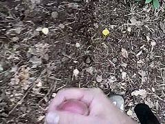 Wix im Wald