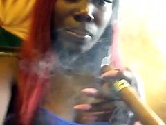 Cigar Lover