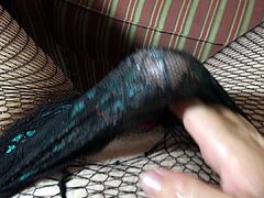 Edging Cum finale Candies Lace and Fishnet Pantyhose