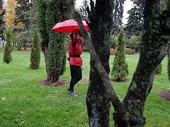 Red Umbrella and Green Grass