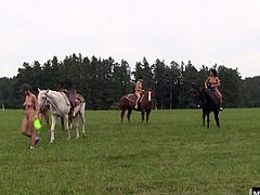 Watch them get physical after a relaxing day out riding their steeds.