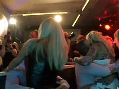 Adorable and sex-hungry bitches are lapdancing at the party