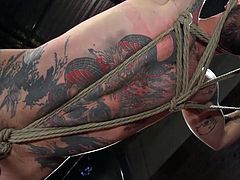 I recommend you to watch this hot scene, if you adore gay bondage with intense SM & hardcore sex with hot studs. I promise you won't be disappointed, this is something really special! Enjoy!