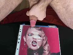 taylor swift tribute