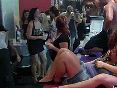 Brunette letting her big tits bounce while a male stripper is behind her, holding her big soft bubble butt, while banging her box from the rear. Next to her is a natural boobed blonde, letting a guy fuck her mostly shaved snatch, while two lesbians are going at it next to them.