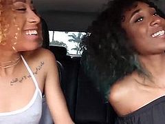 Two Bisexual Black Valley Girl Sluts Fuck Lucky White Guy