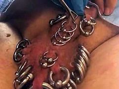 Pierced slavedick new 5 frenulum piercings