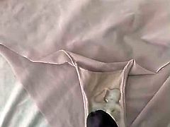 Cumming in wifes panties again