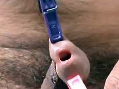 Cockhole spread