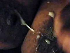 Cumshot On Boobs